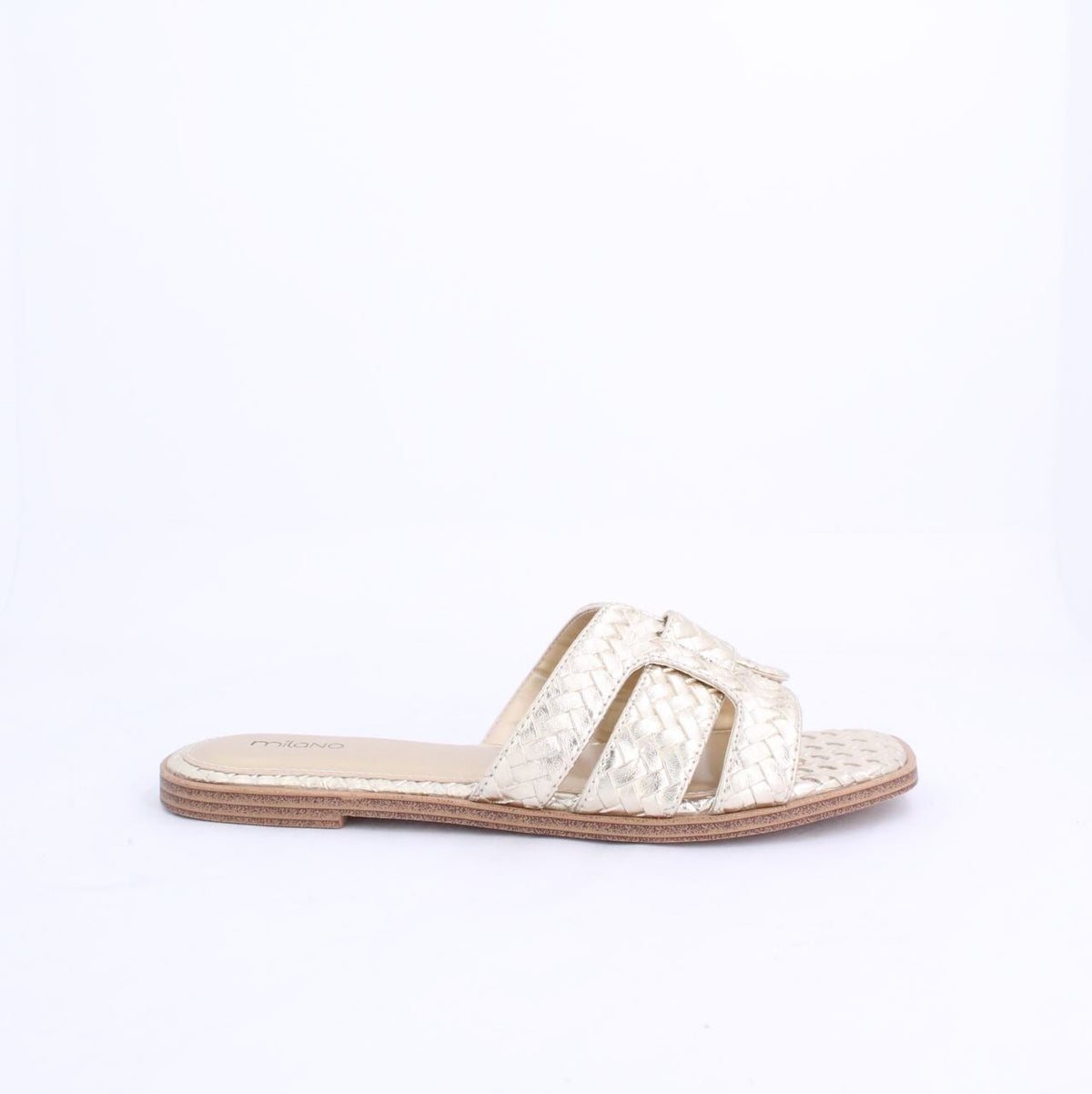 ESSI-Slides-flats-GOLD